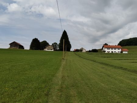 Hinlings_450 breit